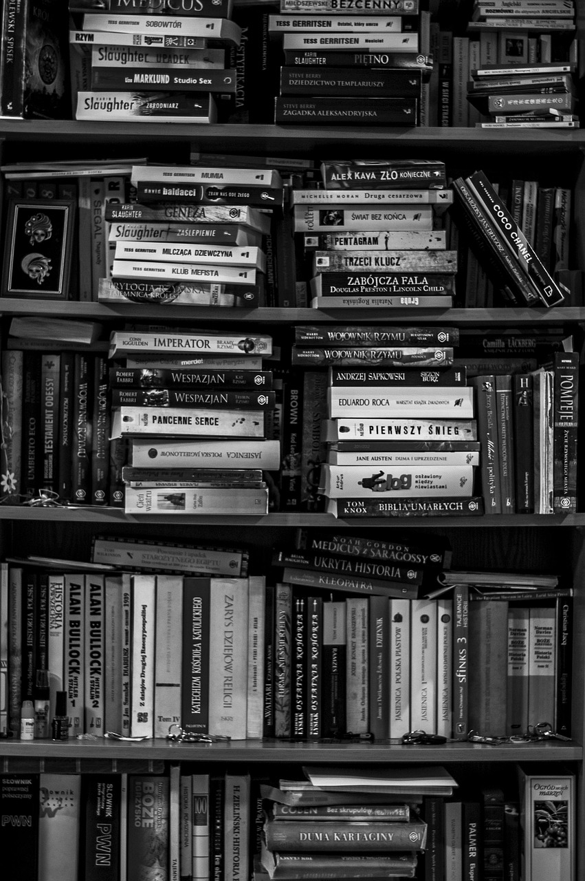 books, bookshelf, library, black and white, school, education, information, bookstand, gray book, gray school, gray books, gray education, gray library, gray information, bookshelf, bookshelf, bookshelf, bookshelf, bookshelf, library, library, library, library, school